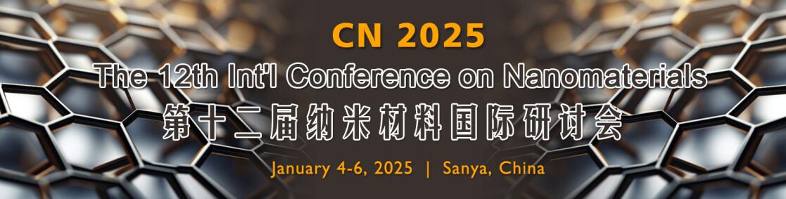 第十二届纳米材料国际研讨会(CN 2025)